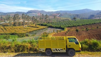 a yellow truck parked on the side of a road