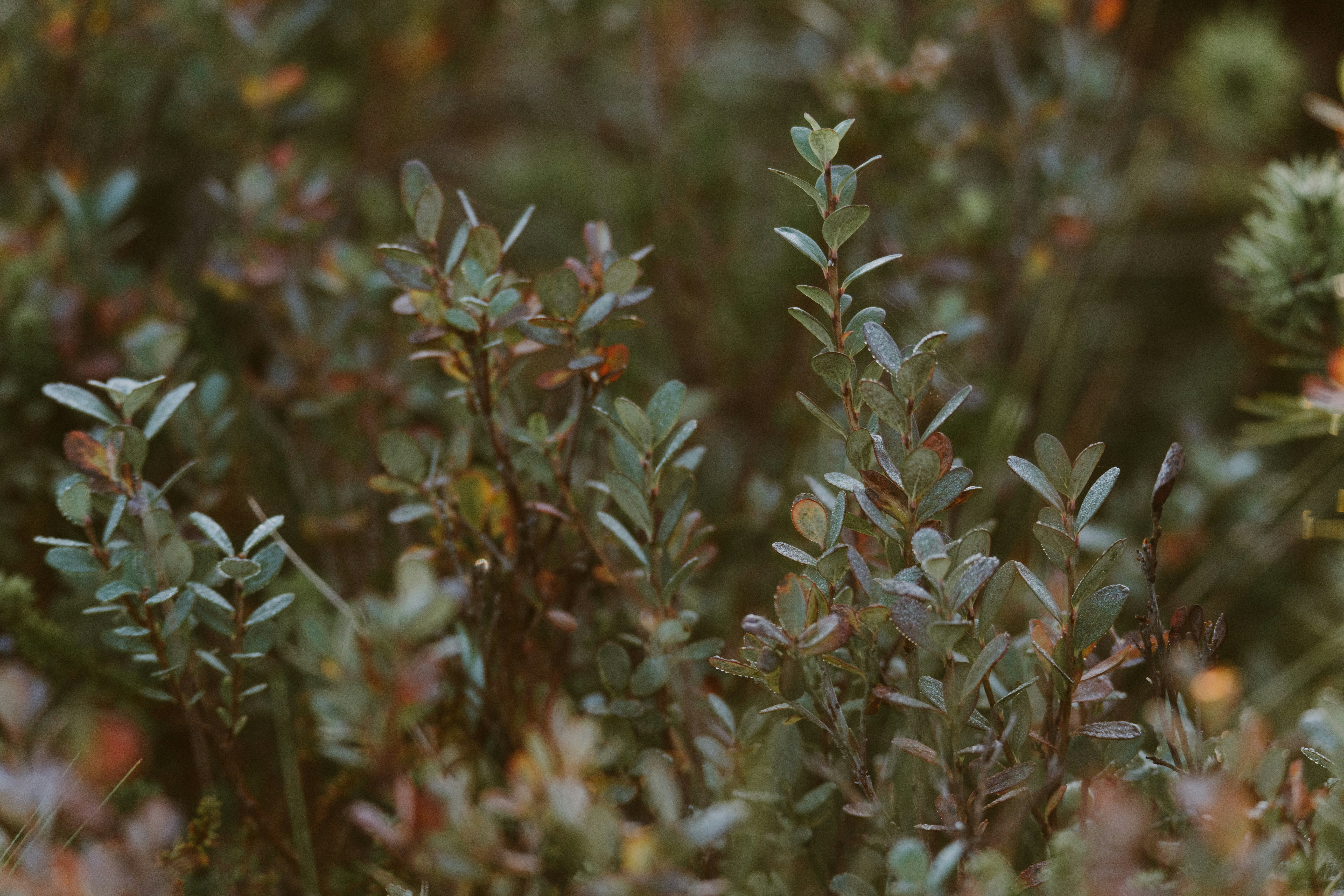 Photo by anitaaustvika