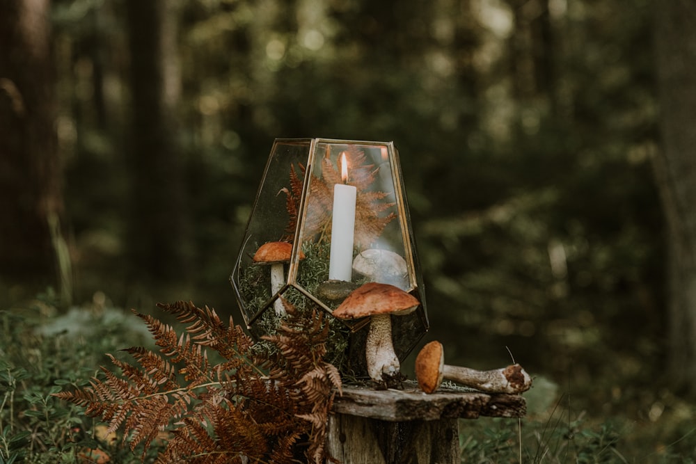a candle that is sitting on a stump in the woods