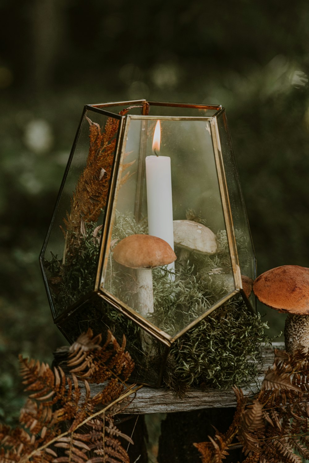 a candle and some mushrooms in a glass container