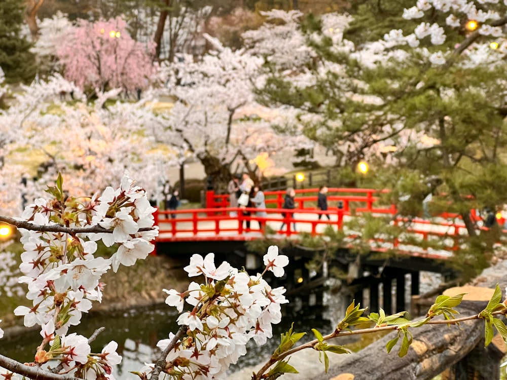 a red bridge over a river with cherry blossoms on it