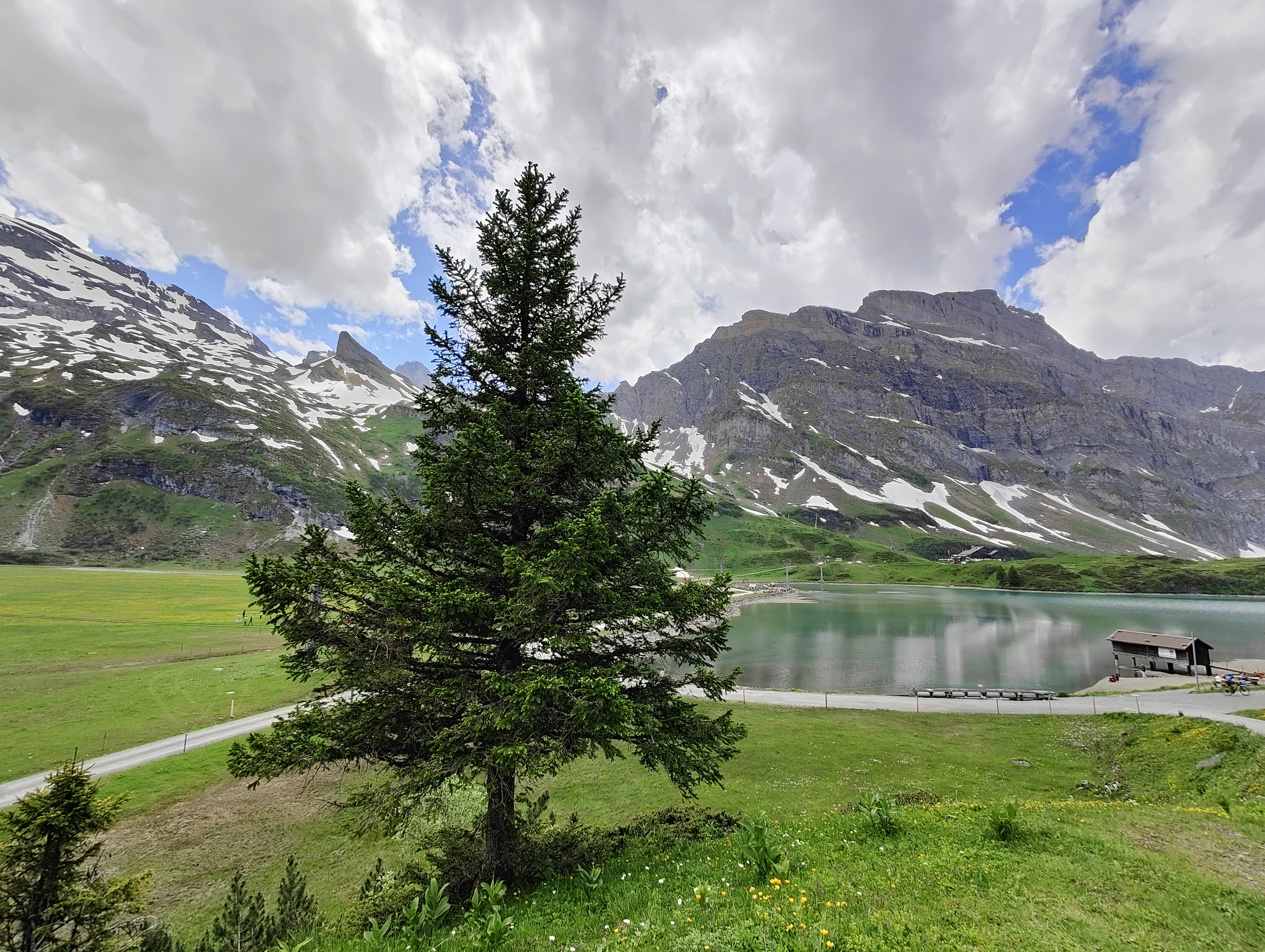 Photo by gordonfreeman