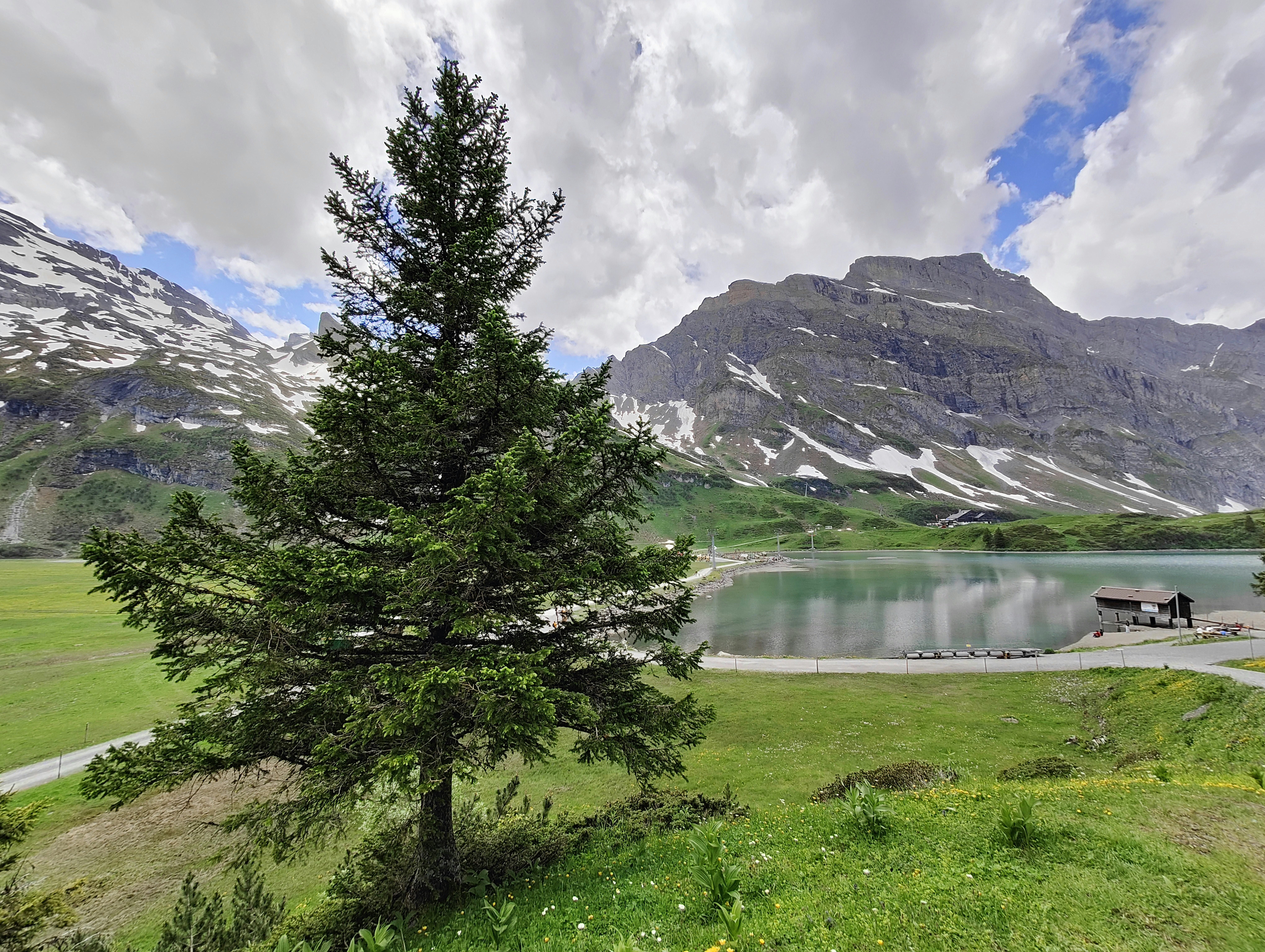 Photo by gordonfreeman