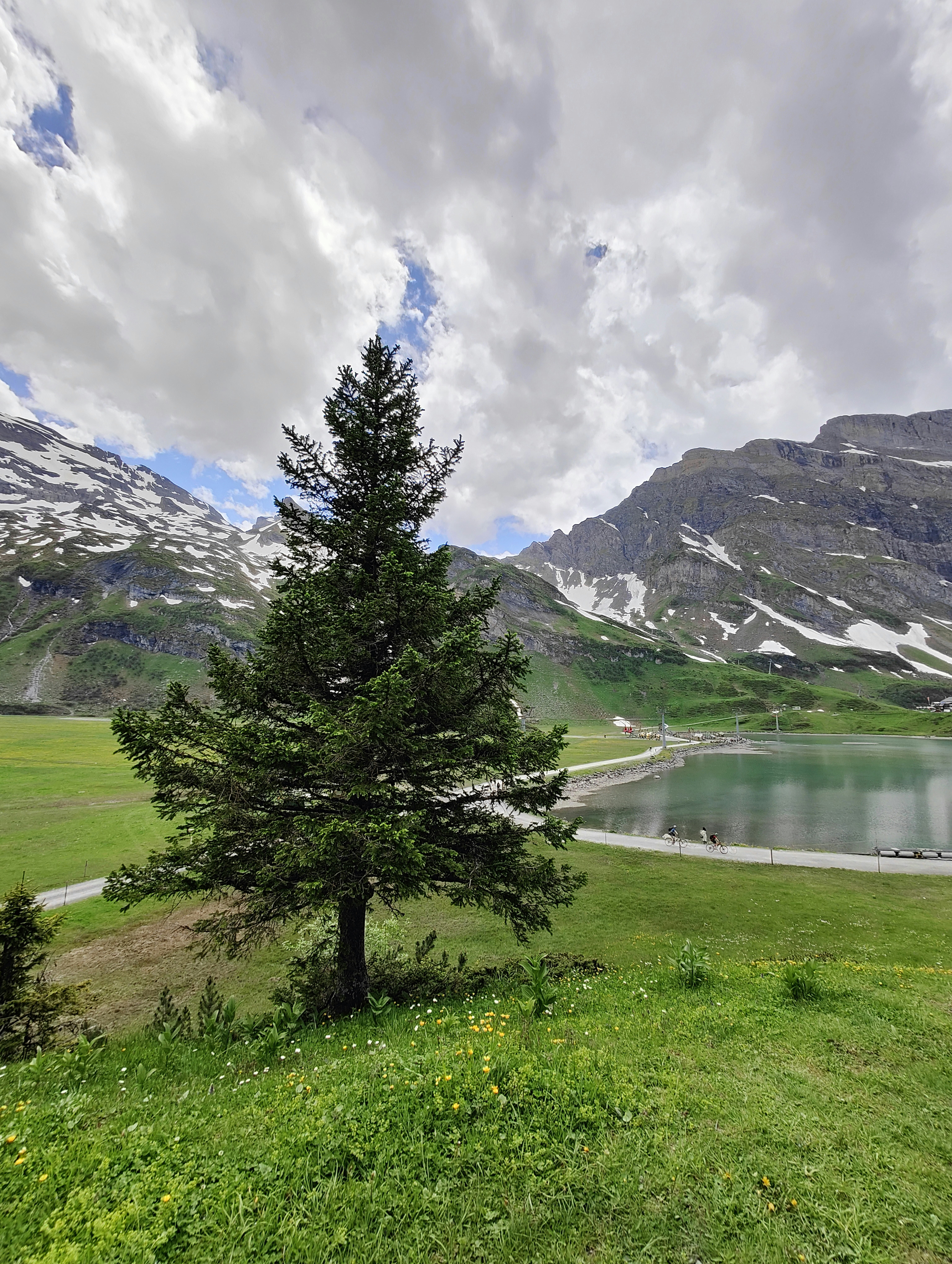 Photo by gordonfreeman