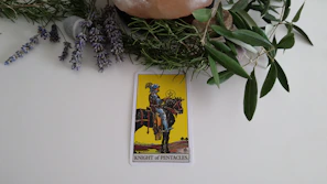 The Four of Pentacles card held gently in a hand against a backdrop of a mystical forest.