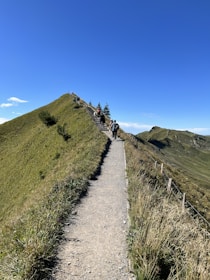 A narrow, stone-paved hiking trail leads up a grassy mountain ridge under a clear blue sky. Several hikers are walking along the path, which is bordered by wooden posts and wire fencing. The gentle slopes are covered with green grass and some shrubs.