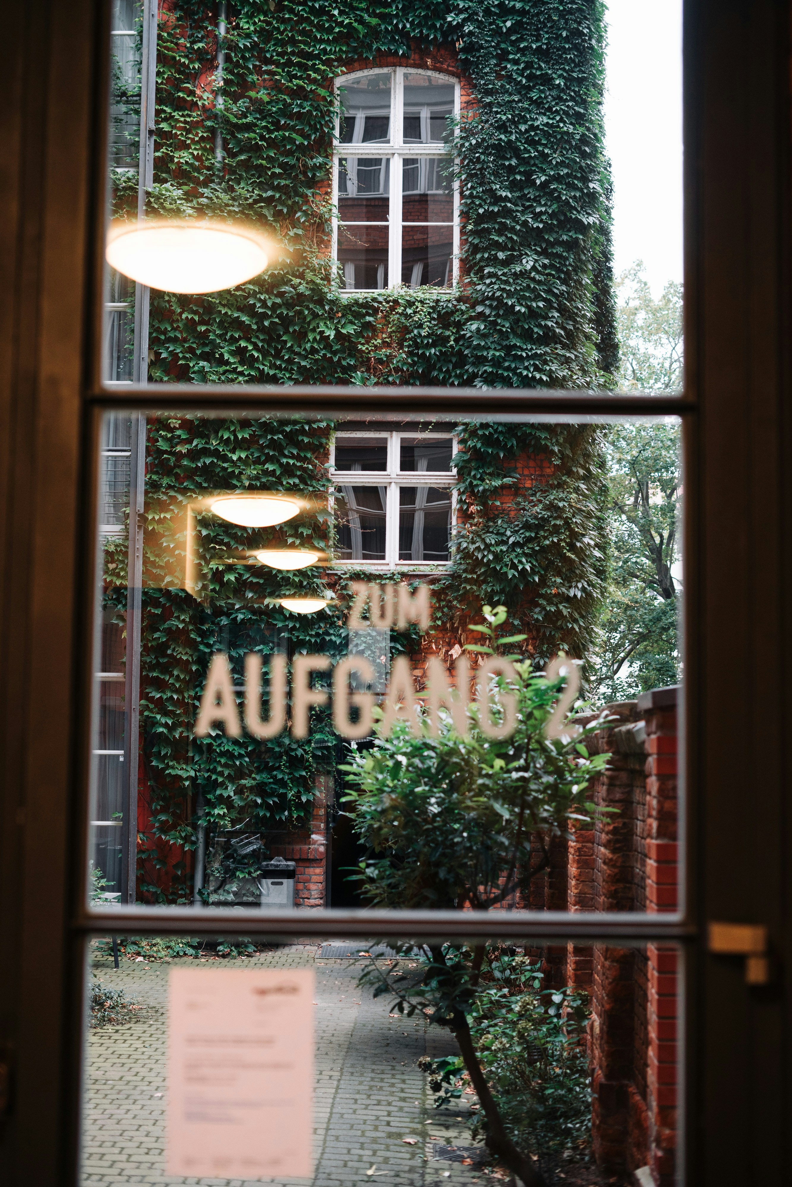 a window view of a building with ivy growing on it