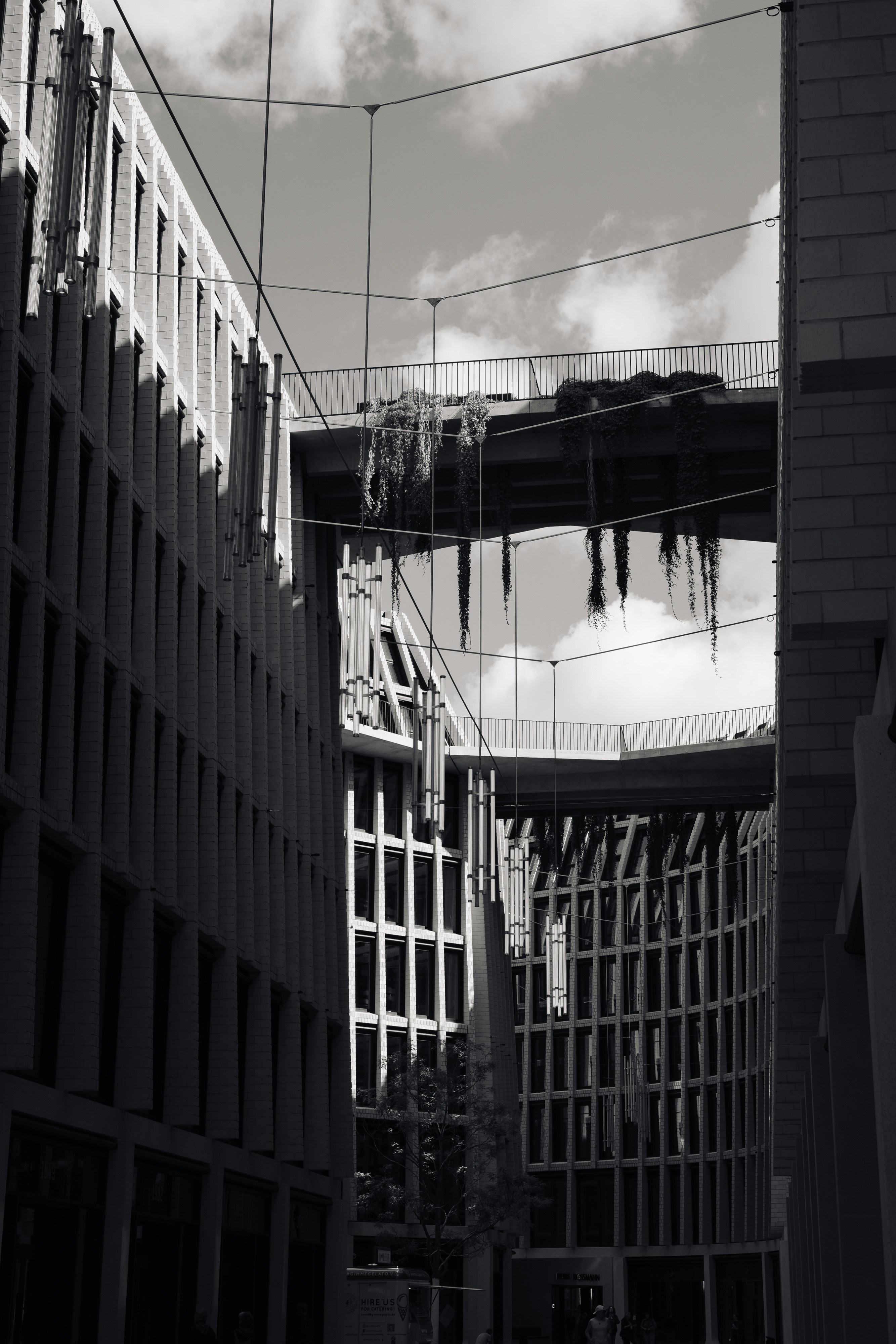 Photo by robert_lens