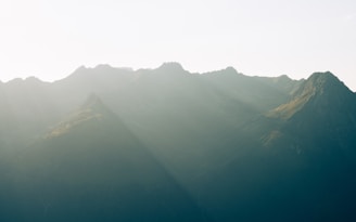 A tranquil outdoor range bathed in soft morning light, highlighting the peaceful environment.