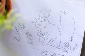 A simple line drawing of a squirrel on a piece of paper. The squirrel is surrounded by several line drawings of plants or branches. The image includes a blurred section of a potted plant to the left, adding a touch of color and depth.