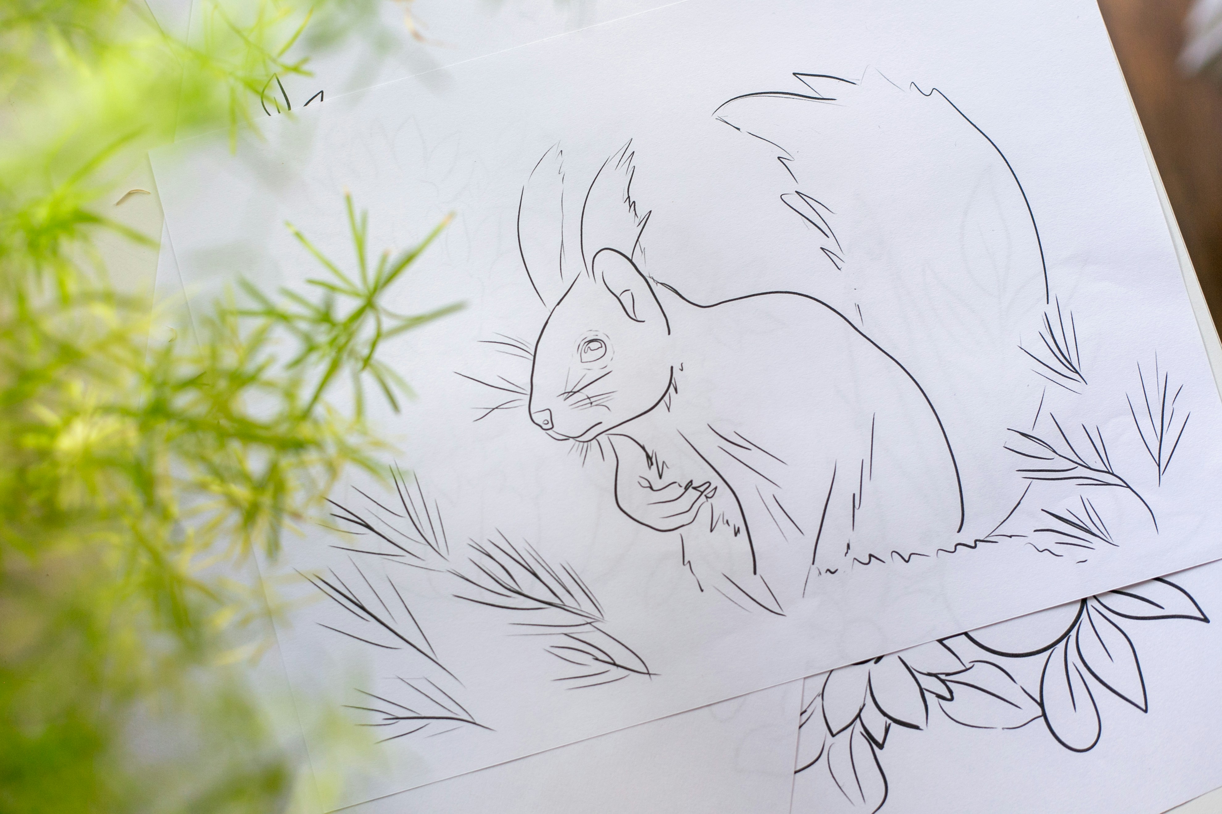a drawing of a squirrel on a piece of paper