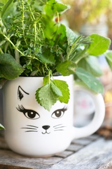 A white mug with a black cat face design is filled with fresh green herbs. The mug sits on a wooden surface, and the herbs are abundant, spilling over the top.