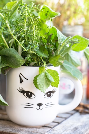 Close-up of a Monnycat pouch featuring a customer's cat photo, surrounded by green sage leaves and eco-friendly accessories.