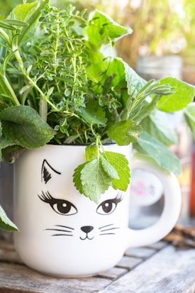 A white mug with a cute cat face design contains an assortment of fresh, green herbs spilling out of the top. The scene is set on a wooden surface with a blurred background, suggesting an outdoor setting.