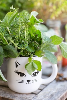 A collection of fresh green herbs is arranged in a white mug that features a cat face design. The mug rests on a wooden surface, and the background is softly blurred, emphasizing the vibrant greenery.