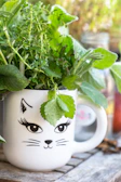 Close-up of a ceramic mug and insulated bottle on a wooden kitchen counter with fresh herbs.