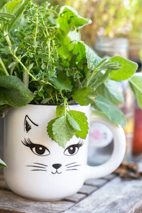 Close-up of a ceramic mug and insulated bottle on a wooden kitchen counter with fresh herbs.