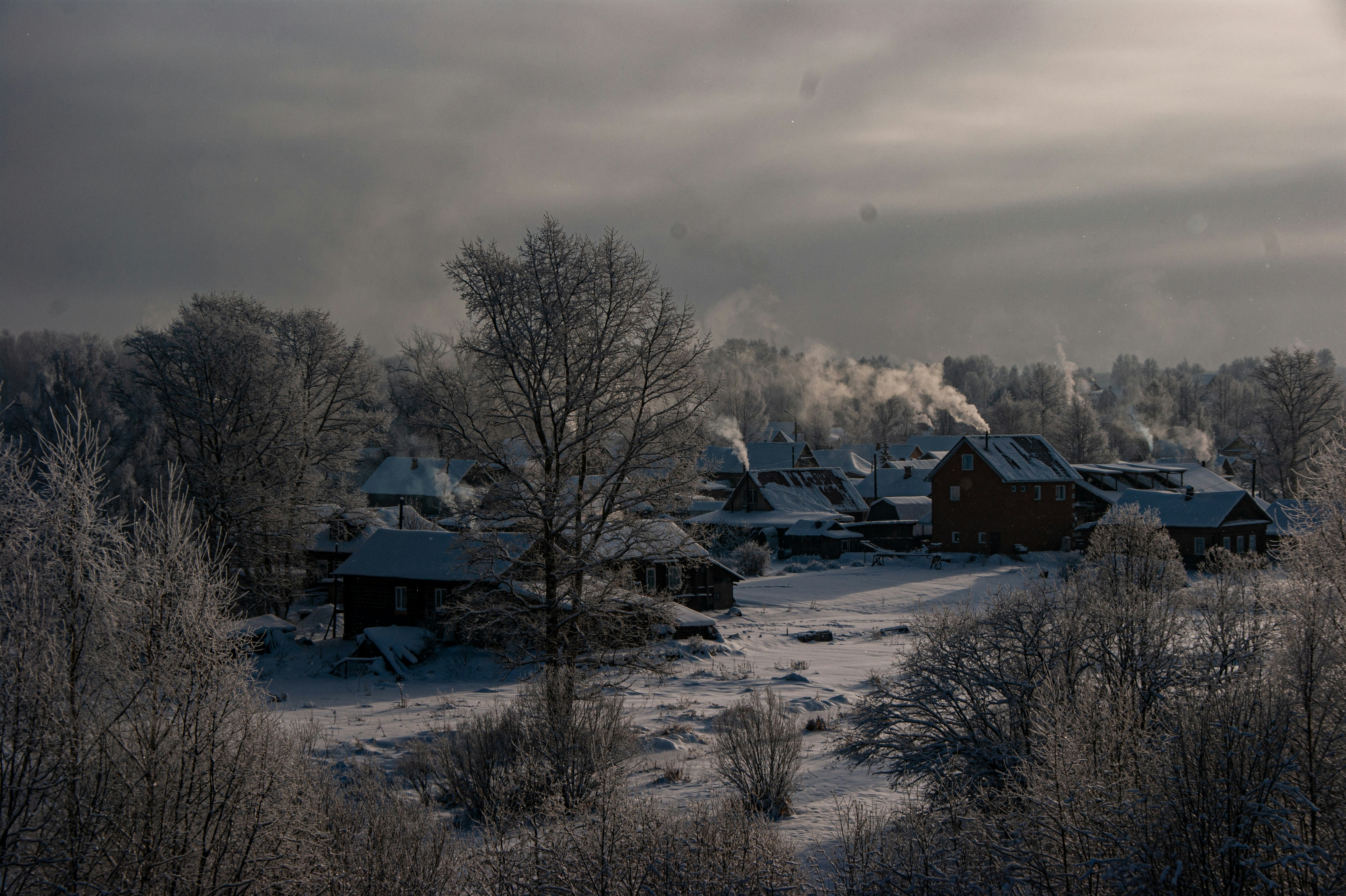 Photo by alekseyryan