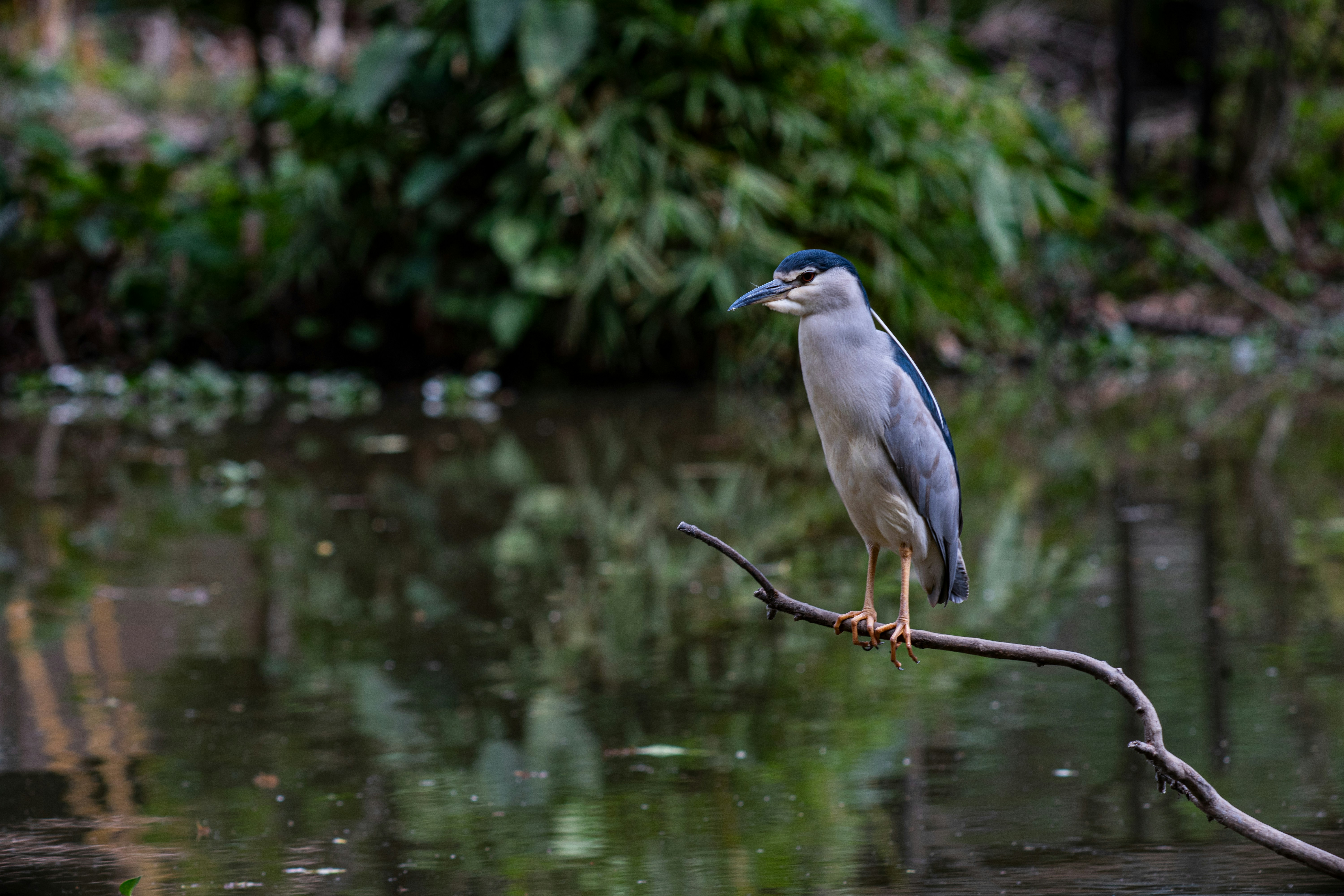 Photo by alekseyryan