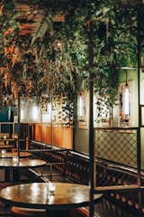 Cozy cafe space with natural wood elements and greenery.