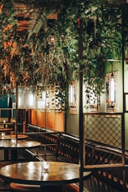 Inviting café interior with deep green walls, soft lighting, and elegant seating.