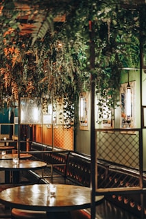A cozy cafe interior with lush greenery hanging from the ceiling, warm lighting illuminating the space, and wooden tables with cushioned seating along the walls. The atmosphere is inviting and intimate, enhanced by the textured walls and decorative lattice panels.