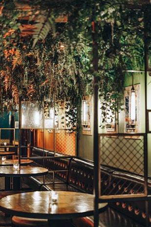 A cozy cafe interior with lush greenery hanging from the ceiling, warm lighting illuminating the space, and wooden tables with cushioned seating along the walls. The atmosphere is inviting and intimate, enhanced by the textured walls and decorative lattice panels.