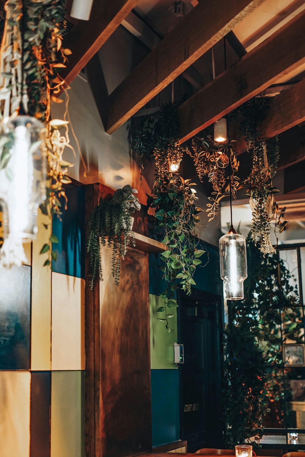 a restaurant with plants hanging from the ceiling