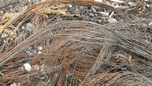 A tangled mass of metallic wires and strands lies on a ground covered with ash and debris, possibly from a burnt object. The wires are predominantly rusted, indicating weathering or exposure to elements over time, and are intertwined chaotically.
