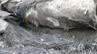 Close-up of durable fibrocement materials.