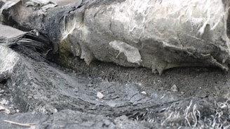 A close-up view of a worn and eroded surface with layers of what appears to be asbestos fibers and crumbling material. The texture is rough, with a mix of dark and light gray shades, and some white fibers protruding from the surface.