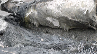 Close-up of specialized equipment used for asbestos containment.