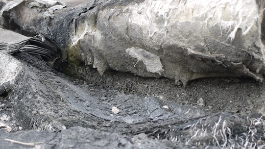 Close-up image of asbestos fibers under a microscope highlighting health risks.