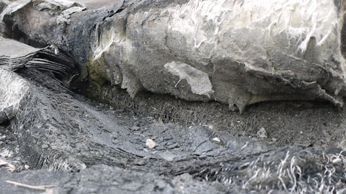 Close-up of safely packaged asbestos materials ready for disposal.