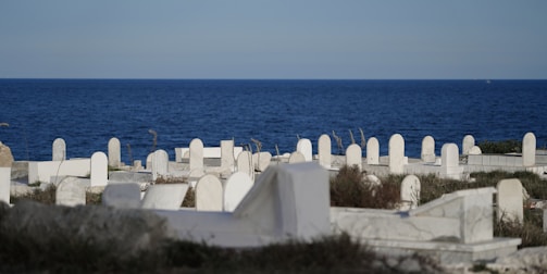 A serene coastal cemetery with rows of white tombstones set against the backdrop of a vast blue sea. The tombstones are unevenly spaced among patches of grass and wild plants, creating a peaceful and contemplative atmosphere.