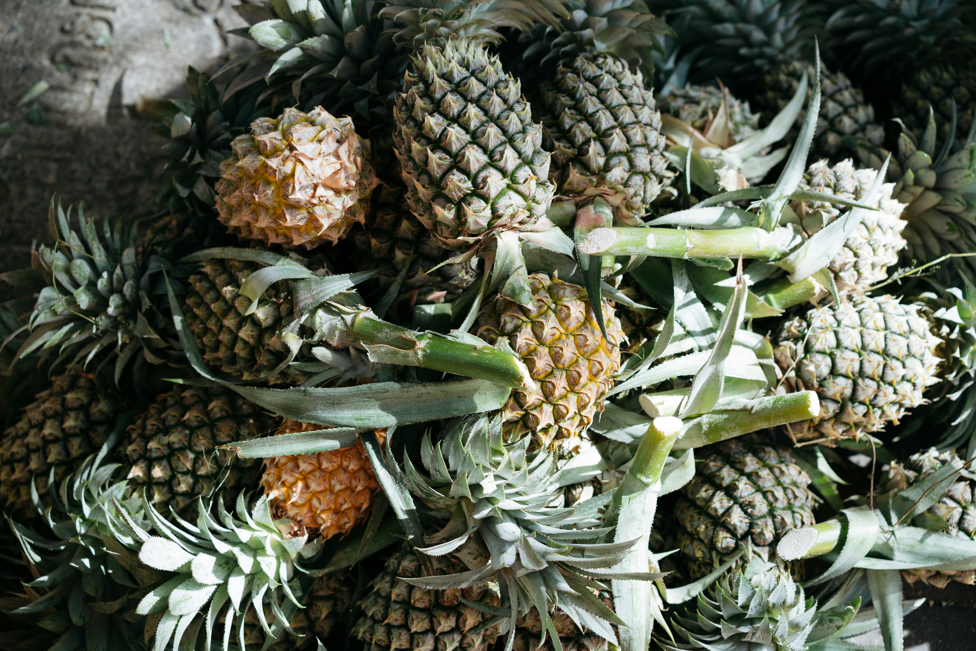 How to Evaluate a Pineapple Supplier: Farm Visit Checklist and Quality Criteria