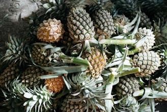 A pile of pineapples with green spiky leaves and textured skins. The fruits appear fresh and are stacked closely together, with sunlight partially illuminating the surface, creating a play of shadow and light.