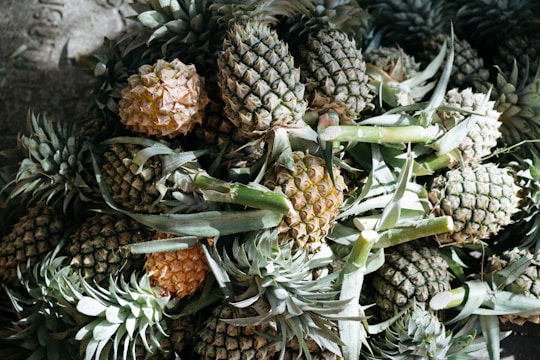A pile of pineapples with green spiky leaves and textured skins. The fruits appear fresh and are stacked closely together, with sunlight partially illuminating the surface, creating a play of shadow and light.