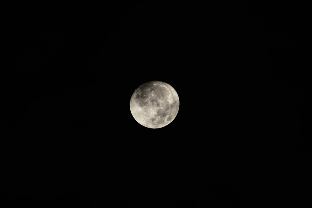 Una luna llena se ve en el cielo oscuro