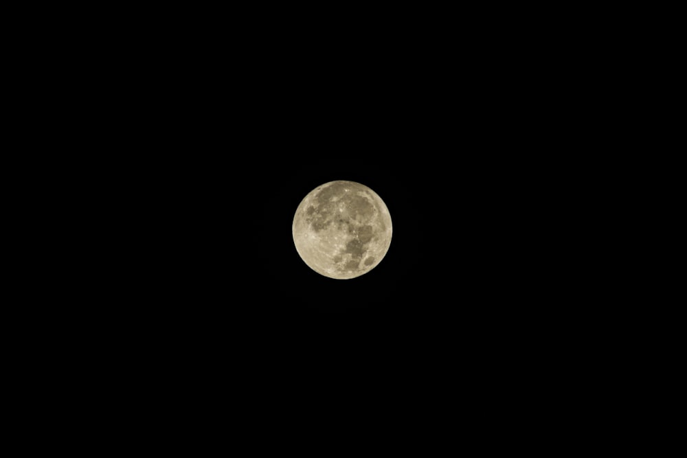 Una luna llena se ve en el cielo oscuro