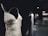 A close-up view of an elegant dress with shimmering sequins and a textured pattern. The dress has thin straps and a deep neckline, showcasing intricate details in design. It is set against a dark, blurred background.