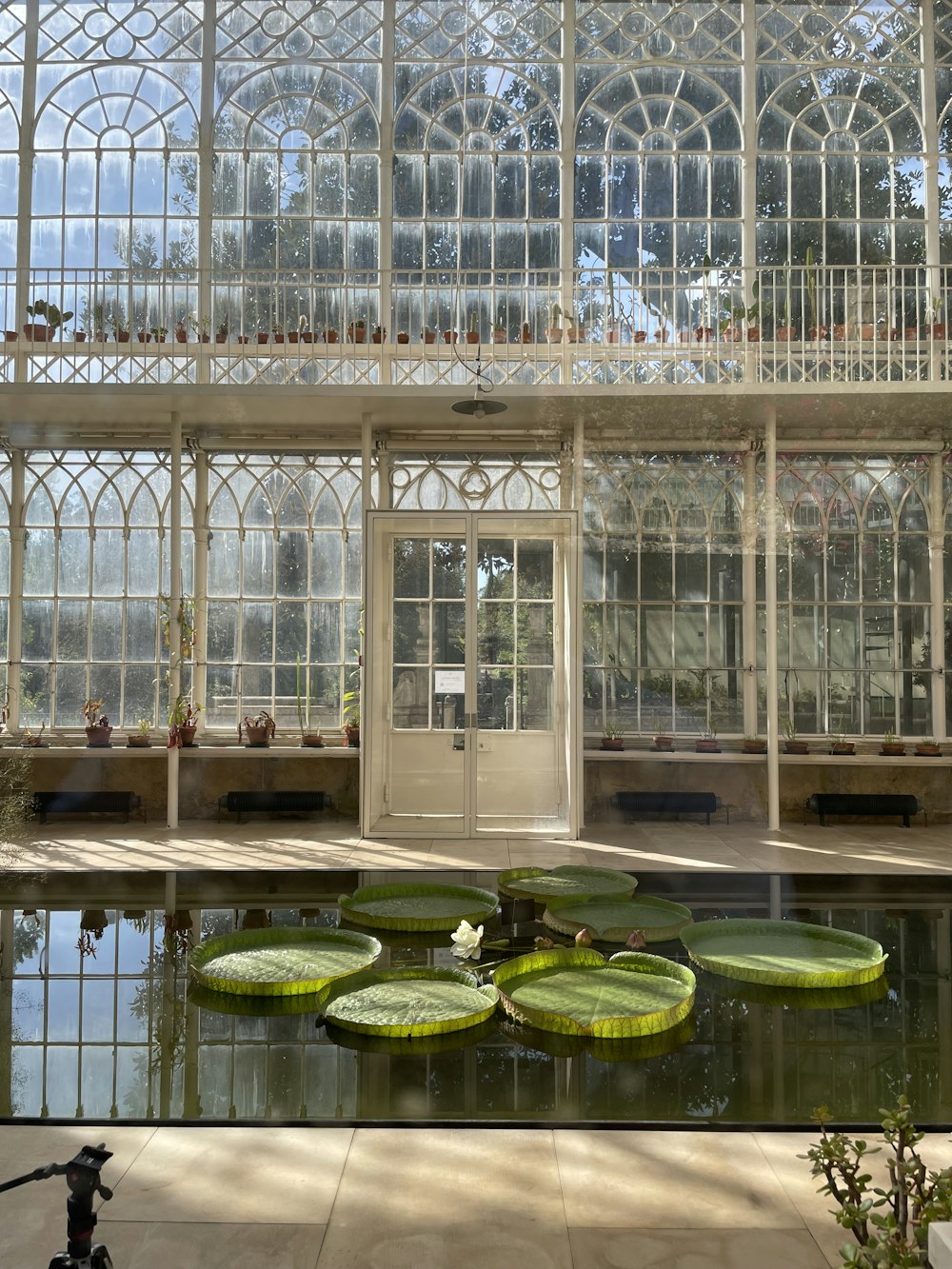 a building with a pond inside of it