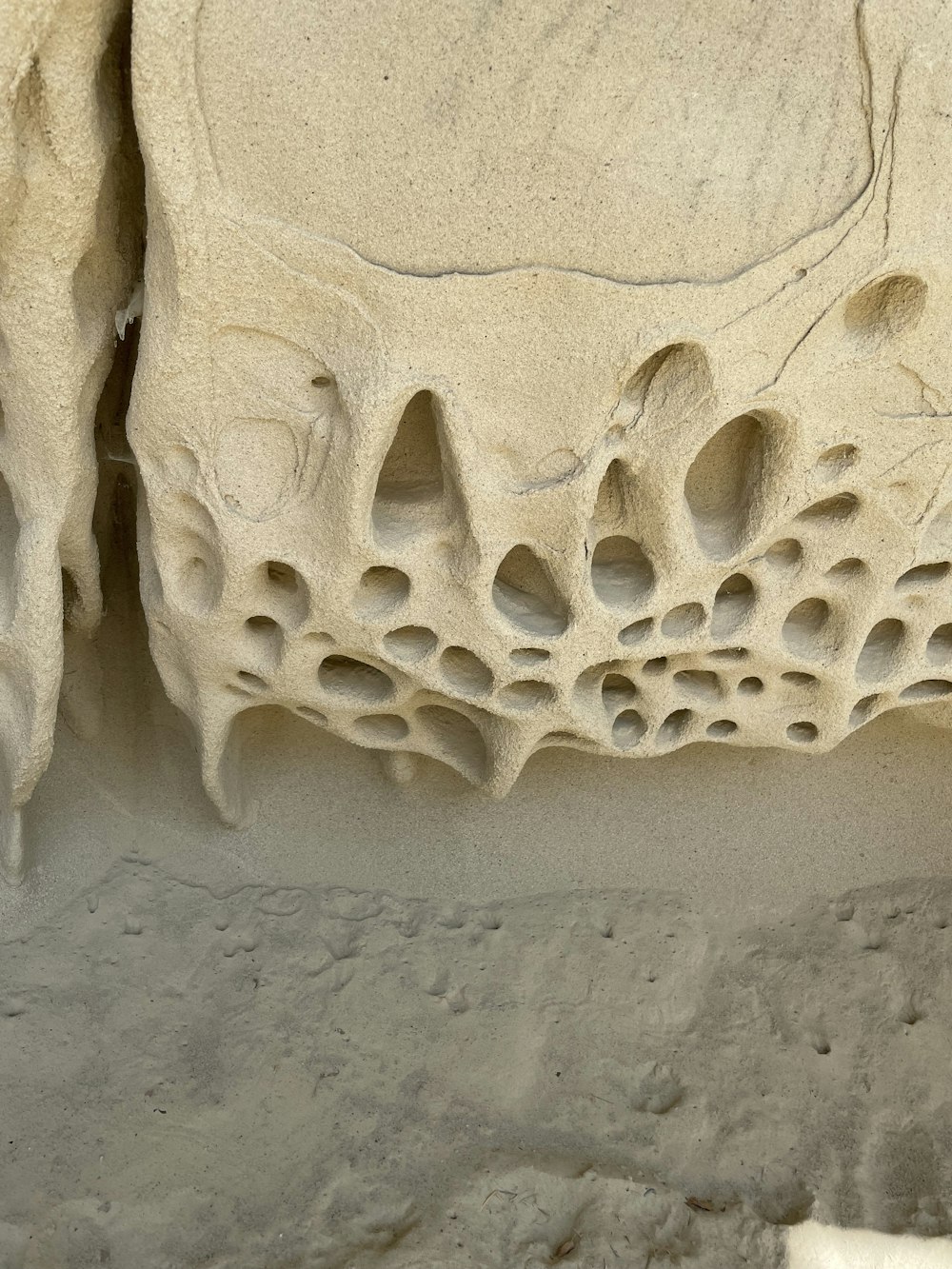 a close up of a rock formation with holes in it