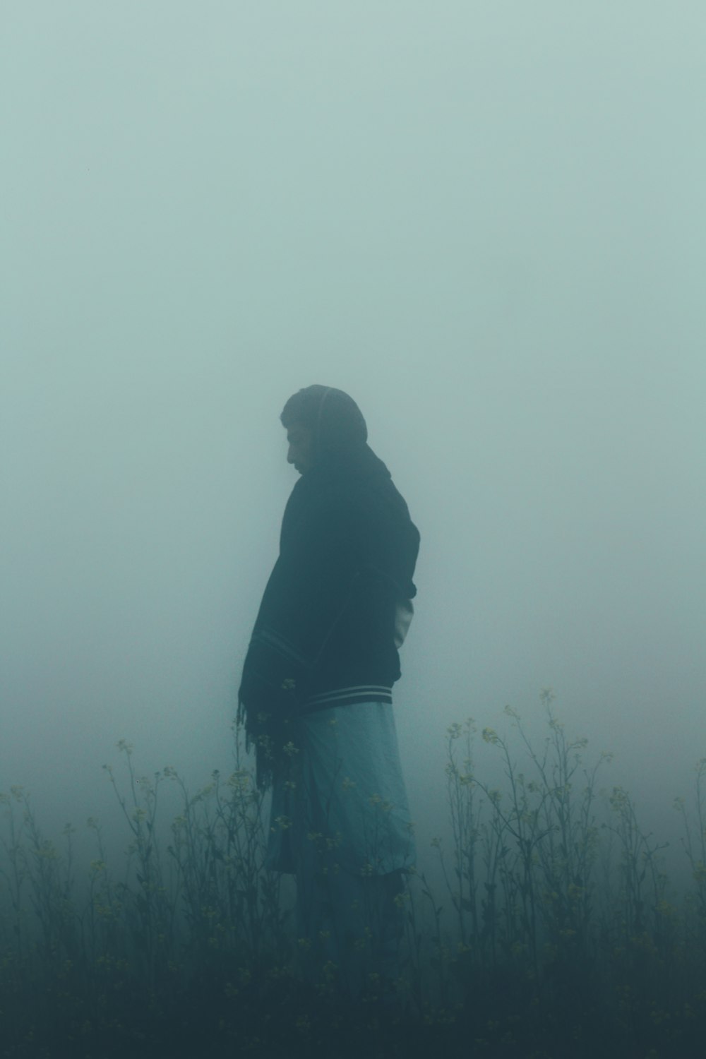 a person standing in a field in the fog