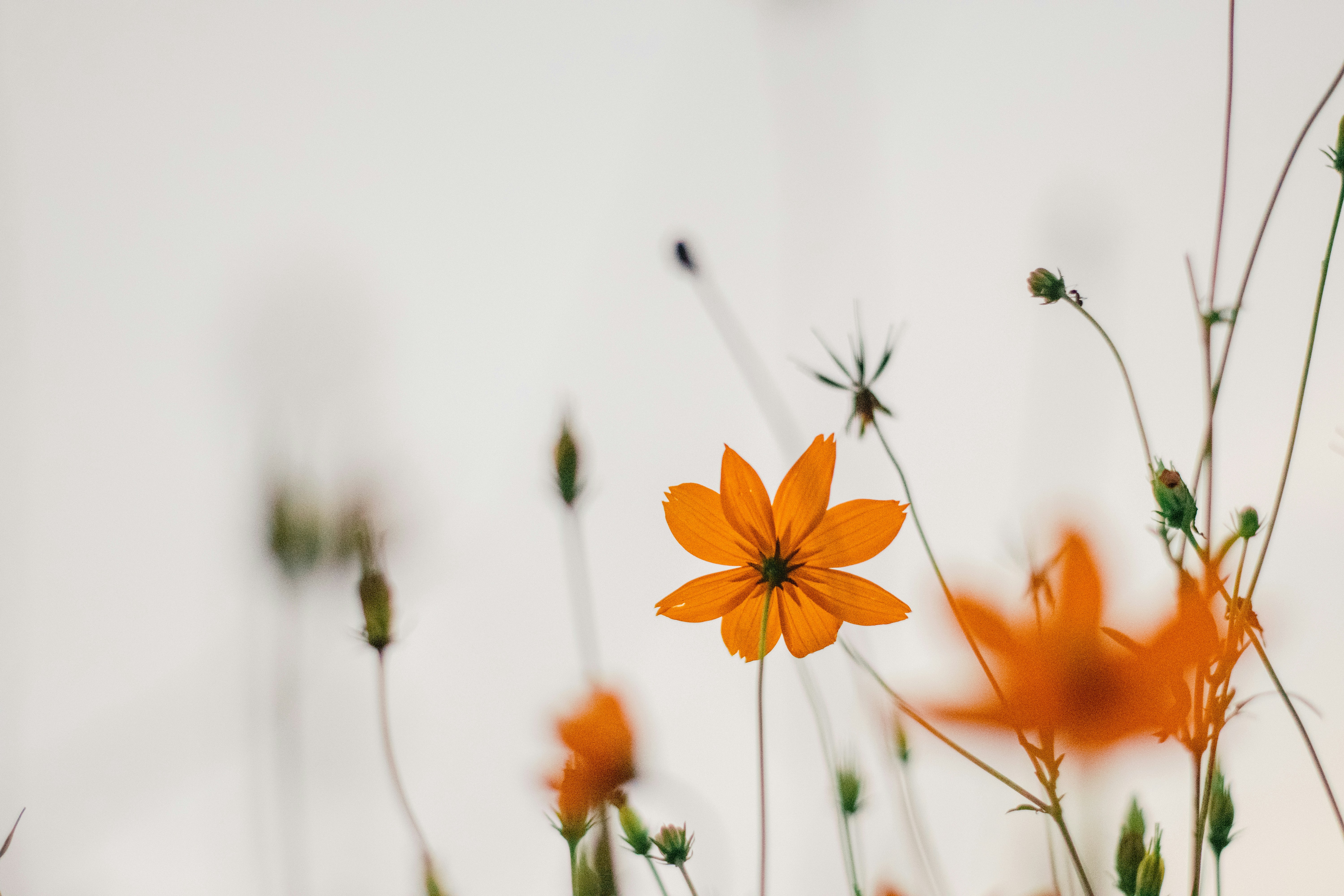 Photo by aron_nowhat