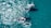 A group of four whales swimming in clear blue ocean water. Two calves are visible alongside two adults, creating an image of a pod moving together.