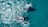 A group of four whales swimming in clear blue ocean water. Two calves are visible alongside two adults, creating an image of a pod moving together.