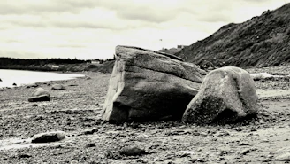 A moody, high-contrast image of a rugged British Columbia coastline under overcast skies, with slate water meeting driftwood-strewn shore.