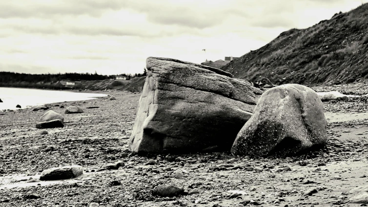 A moody, high-contrast image of a rugged British Columbia coastline under overcast skies, with slate water meeting driftwood-strewn shore.