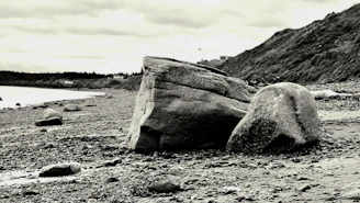 A moody, high-contrast image of a rugged British Columbia coastline under overcast skies, with slate water meeting driftwood-strewn shore.